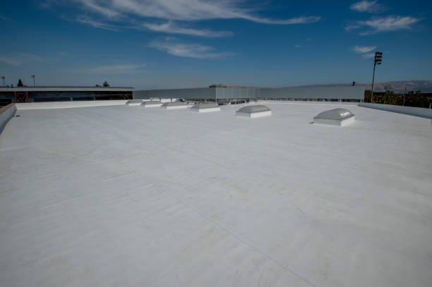 Best Roof Ventilation Installation  in Manton, MI