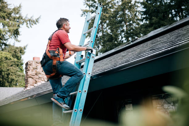 Steel Roofing in Manton, MI